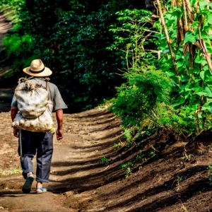 Campesino caminando por un camino rural.