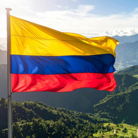 procuraduría general