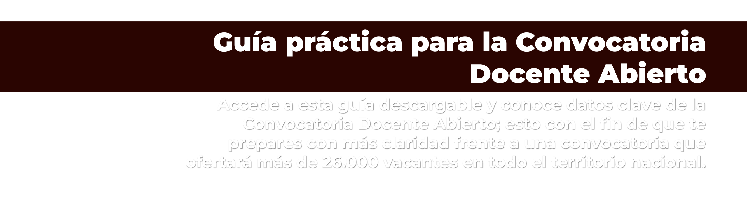 Landing E-book Docente